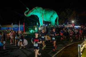 BIB: 
                            <button type="button" onclick="openModal(26552292)" class="btn btn-primary btn-sm float-right btn-popup" data-toggle="modal" data-target=".modal-high-quality">
                        <i class="fas fa-shopping-cart"></i> Add to Cart
                    </button>
                                            <button type="button" onclick="isThisMe(26552292, true)" class="btn btn-success btn-sm float-right btn-popup btn-isme hidden" data-toggle="tooltip" data-placement="bottom" title="นี่คือรูปของคุณใช่ไหม คลิกที่นี่เพื่อเอาเข้าอัลบั้ม">
                        <i class="fas fa-plus"></i> Add to album
                    </button>
                    <button type="button" onclick="isThisMe(26552292, false)" class="btn btn-warning btn-sm float-right btn-popup btn-isnotme hidden">
                        <i class="fas fa-ban"></i> Remove from album
                    </button>